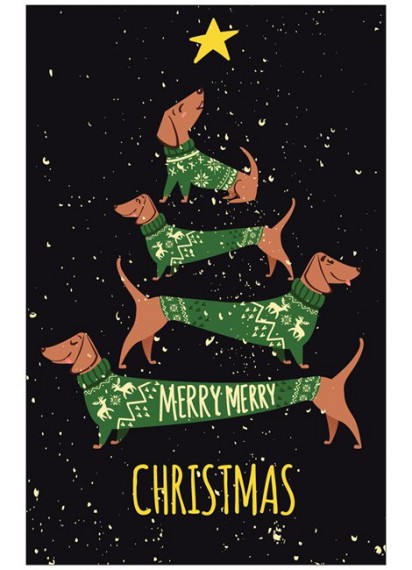 Christmas Card Dachshunds in jumpers